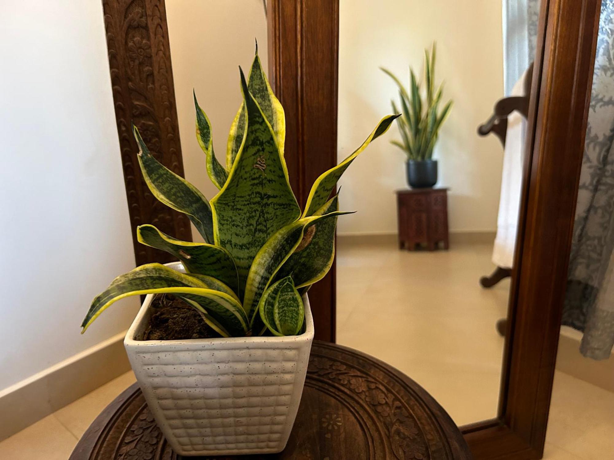Santa Maria, Trivandrum - An Airport Boutique By The Sea Bed and Breakfast Thiruvananthapuram Εξωτερικό φωτογραφία