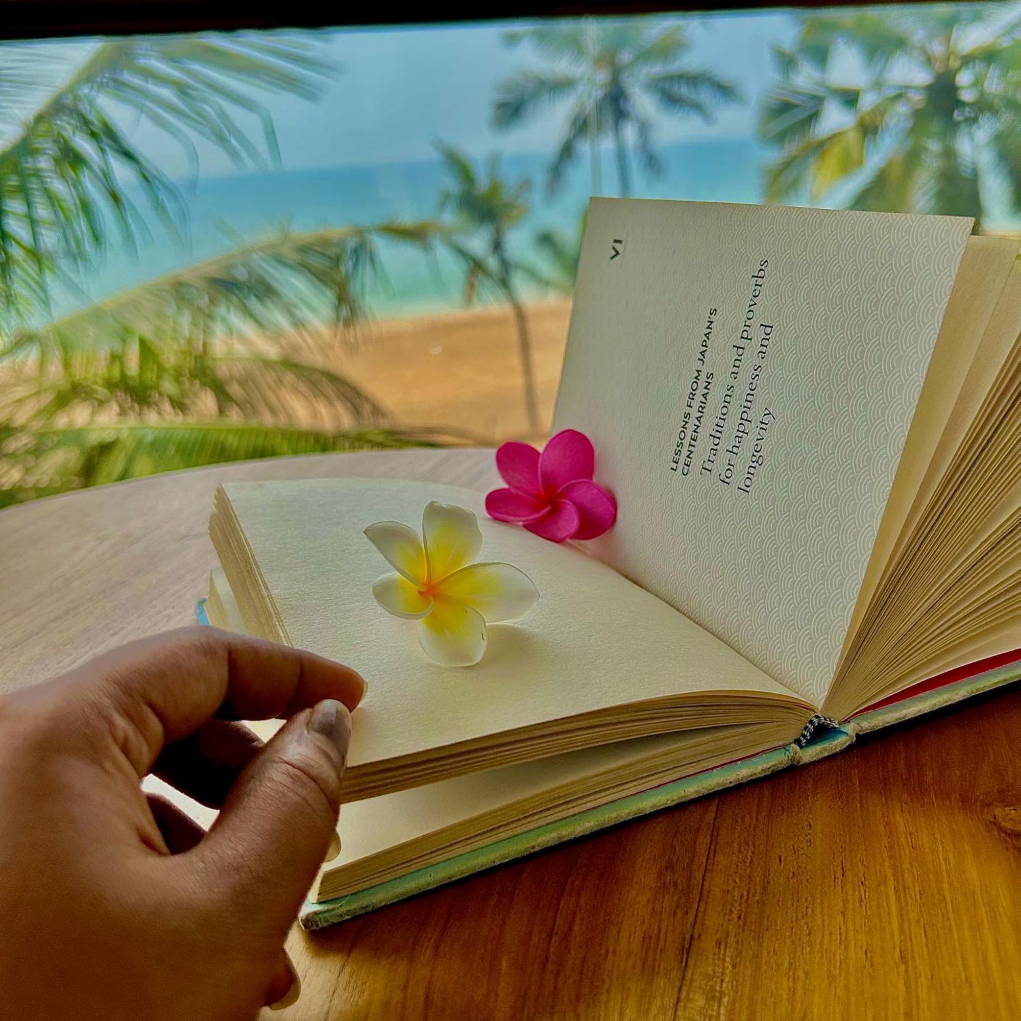 Santa Maria, Trivandrum - An Airport Boutique By The Sea Bed and Breakfast Thiruvananthapuram Εξωτερικό φωτογραφία