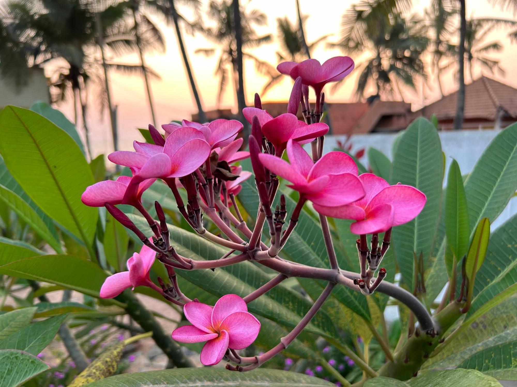 Santa Maria, Trivandrum - An Airport Boutique By The Sea Bed and Breakfast Thiruvananthapuram Εξωτερικό φωτογραφία